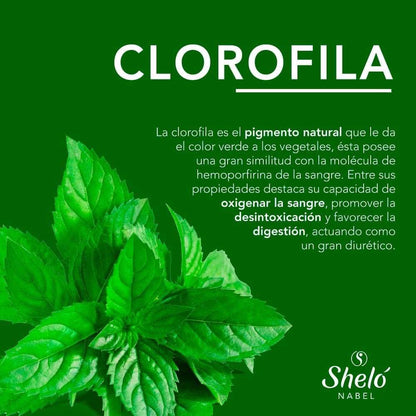 CLOROFILA LIQUIDA CONCENTRADA