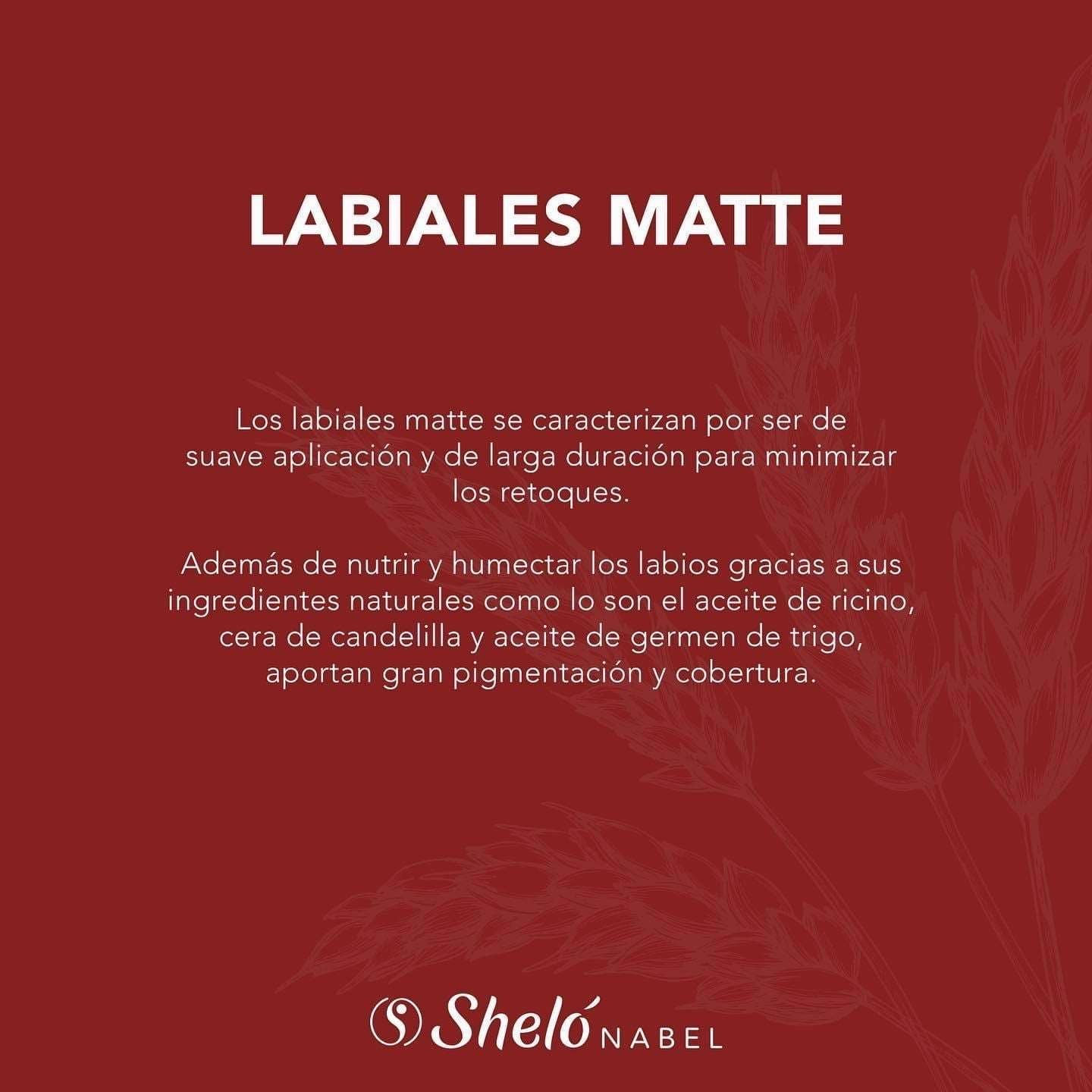 LABIAL ROJO INTERESANTE MATTE